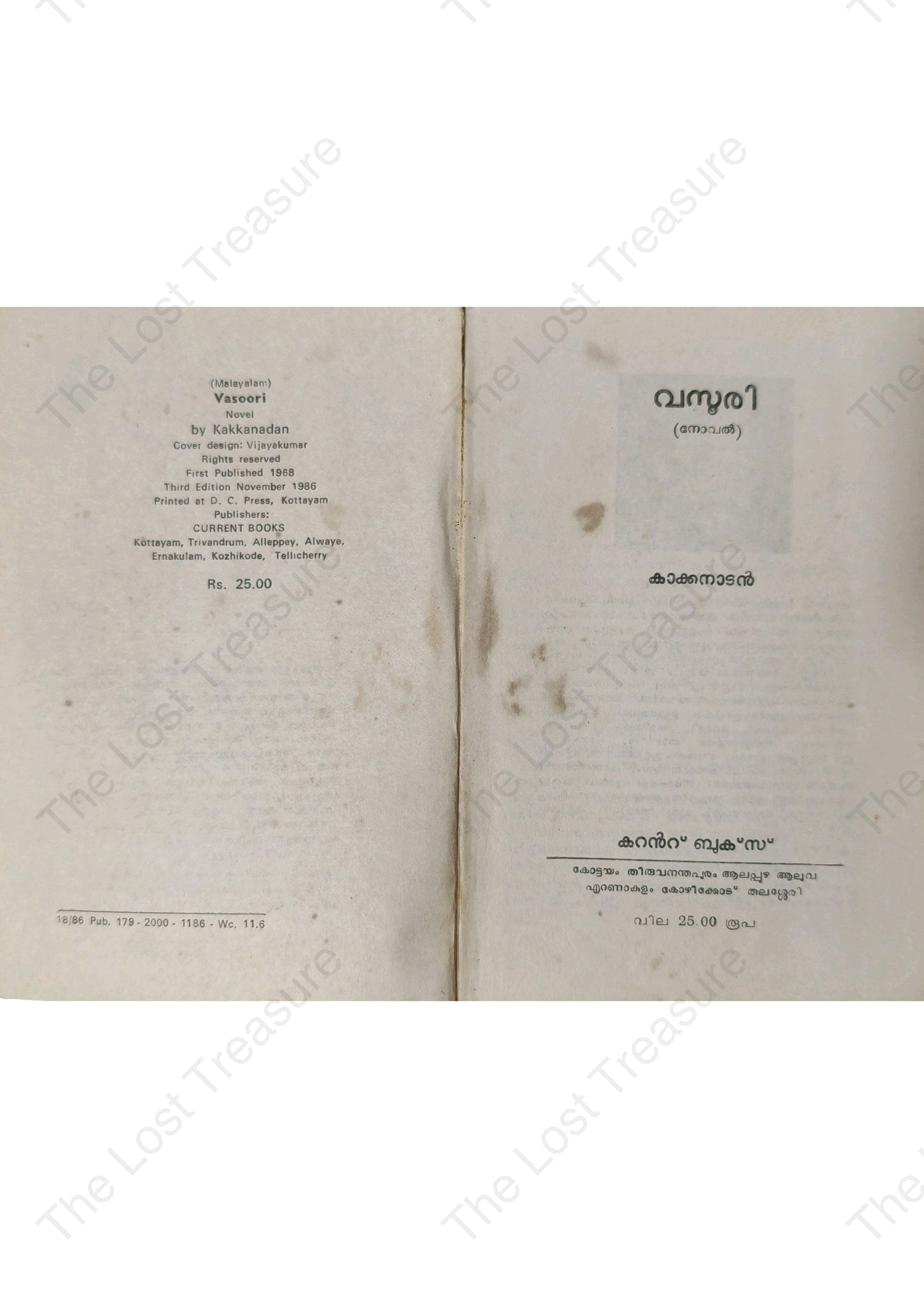 വസൂരി- കാക്കനാടൻ
